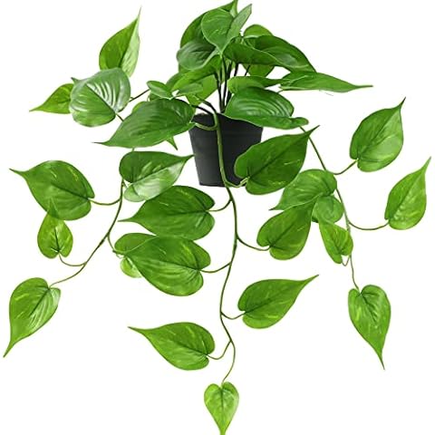 ALAGIRLS Fake Plants for Home Decor Indoor Outdoor, Realistic Small Hanging Plants Artificial with Plasic Pot, Faux Potted Hanging Plant for Office Garden Wall Shelf Desk Decoration - Jade Pothos 03 Cover