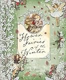 Flower Fairies of the Winter