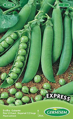 Germisem Erbsen EXPRESS 100g