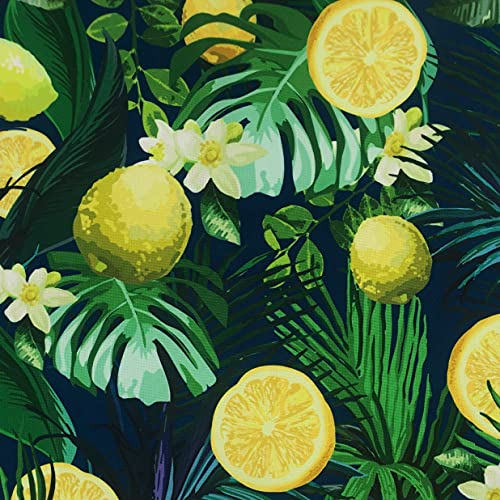 HEKO PANELS Oxford Telas por Metro Tela Impermeable por Metros - Toldos Impermeables para Exterior y Interior - 100% Poliéster - Tela para Tapizar Resistente al Desgarro y la Suciedad - Limón