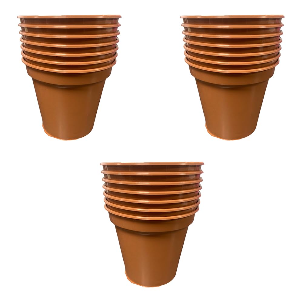 Accurate Terracotta Garden Pot (Set Of 7) Ideal For Cultivation Of Cuttings Or Pricking Out- Colour- Size (10Cm) (3)