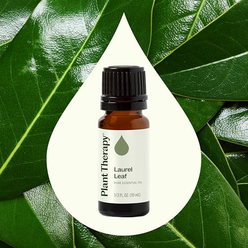 Aceite Esencial de Hoja de Laurel 10 mL 100% Puro miniatura 3