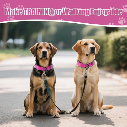 Image of Martingale Dog Collar, Reflective No Pull with Buckle, Hot Pink, S | Escape Proof without choking ,Training Collar with Quick Release Buckle, Adjustable Heavy Duty Nylon collars for S M L Dogs