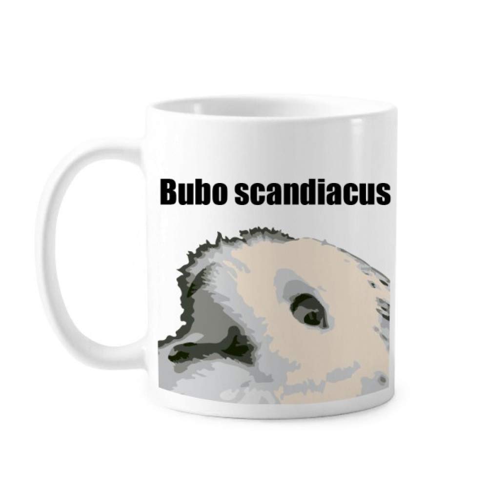 Bubo Scandiacus Bird White Mug Pottery Ceramic Coffee Porcelain Cup Tableware