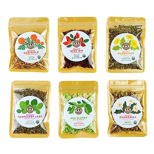 GuineaDad Organic Treat Sampler - Guinea Pig Herbal Treats - Guinea Pig Food in 6 Flavors - 6 Pack - Guinea Pig Treats Help with Bonding - High in Nutrition No Preservatives No Additives