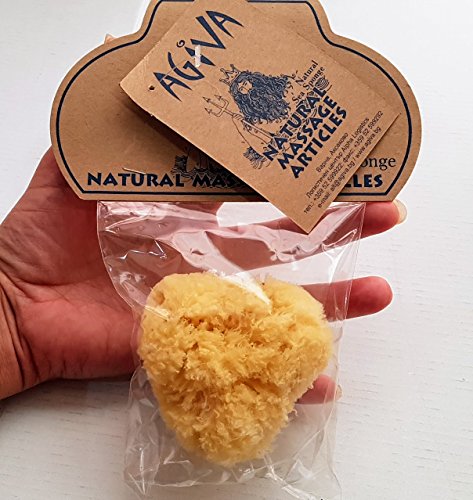 Preisvergleich Produktbild Agiva Klein Koralle Meeresschwamm 100% Natürlich