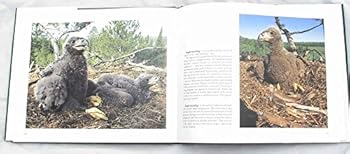 Hardcover A Season With Eagles Book