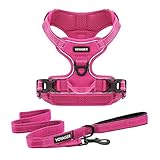 Best Pet Supplies Voyager Dual Attachment Outdoor Dog Harness and Leash Bundle by Best Pet Supplies | NO-Pull Pet Walking Vest Harness - Fuchsia, S (Chest: 17 - 22') (211CB-FSW-S)