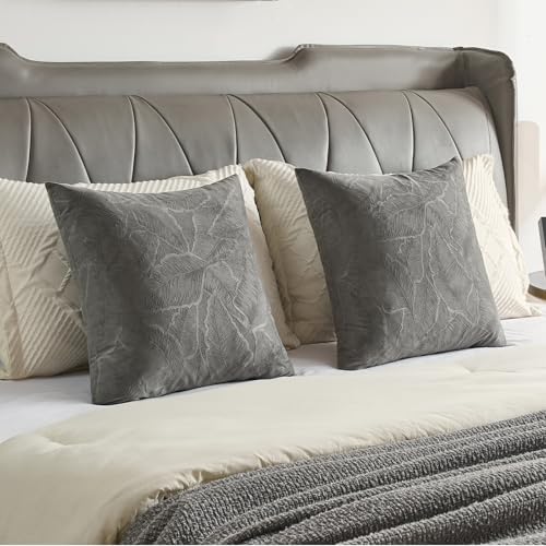 Image of FUTEI Pack of 2 Velvet Throw Pillow Covers 12x20 Inch Soft Embossed Leaf-Relief Textured Decorative Lumbar Pillowcases Modern Natural Farmhouse Accent for Couch Bed Living Room, Dark Grey