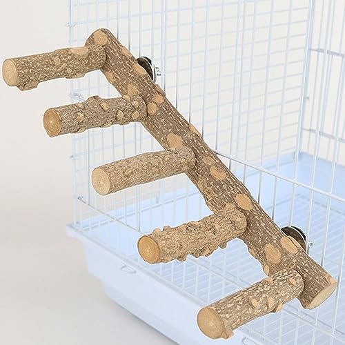 Bolagar Bird Ladder Perch for Cage, Nature Wooden Bird Bridge Exercise Stands Parrot Climbing Chewing Toys for Small Animal - Image 8