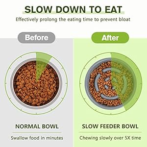 Pecute Slow Feeder Dog Bowls to Slow Down Eating Dog Bowl Slow Feeder with Nospill Nonskid Silicone Mat Foodgrade Safe Dog Food Bowls Slow Feeder Stainless Steel Dog Water Bowl for Dogs Cats  Cucciolini Doodles Pecute slow feeder dog bowls to slow down eating dog bowl slow feeder with no spill non skid silicone mat food grade safe dog food bowls slow feeder stainless steel dog water bowl for dogs cats   cucciolini doodles