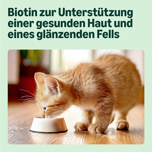 by Amazon Katzenfutter, nass, für junge Katzen, Gemischte Auswahl in Gelee, 1.2kg (12 beutel mit 100g) – Bild 5