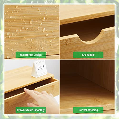 Charmewooden 2 DRAWERS Makeup Storage Drawer 2 Drawers Tabletop Storage Organization Box Home Office Workspace Bathroom Toiletries Supplies No Assembly Required thumb #4