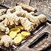 Fresh Organic Ginger Root – Premium, Natural, and Versatile with Strong, Bold Flavor for Cooking, Tea, and More (1 Lb)