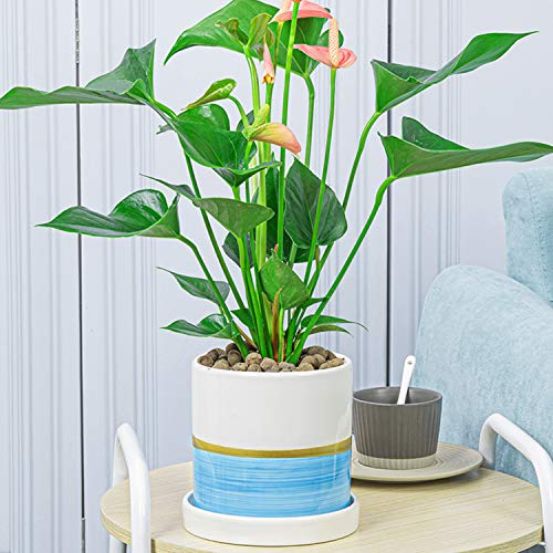 Ufrount Ceramic Planter Pot with Drainage Holes, Succulent Planter Pots Planting Pot Flower Pots for Mini Plant Perfect for Garden, Kitchen, Windowsill - Set of 3 (Blue)