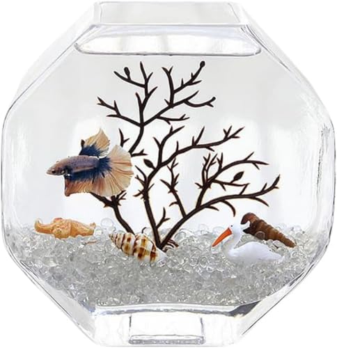 AOBOPO nCzCgKXANAEbbANA|jbNΉbpbOp  {bNX t@bV   n ^ ~j z[fR[V ItBXpi nIȃfUC  t@bVfUC u