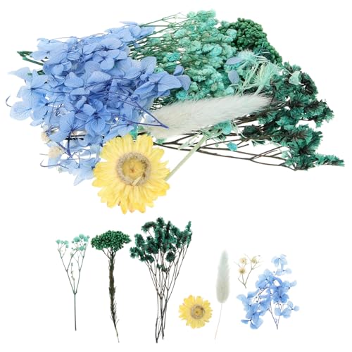 Flores naturales prensadas para manualidades y decoración miniatura 7