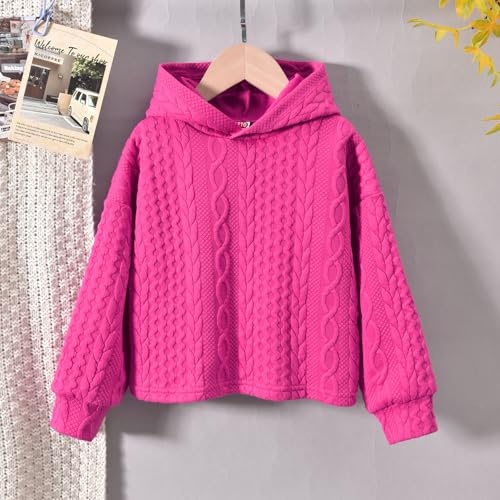 Image of fioukiay Toddler Girls Casual Sweatsuit Pullover Hoodie Sweatpants Outfits