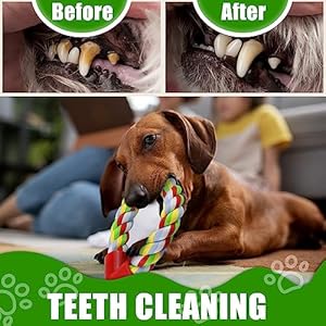 Dog-Rope-Toys-for-Aggressive-Chewers-Tough-Dog-Chew-Toys-for-Medium-Large-Dog-Breeds-Dog-Grinding-Teeth-Chew-Toys-Interactive-Cotton-Tug-of-War-Dog-Toy-Light-Color - Cucciolini Doodles Dog-Rope-Toys-for-Aggressive-Chewers-Tough-Dog-Chew-Toys-for-Medium-Large-Dog-Breeds-Dog-Grinding-Teeth-Chew-Toys-Interactive-Cotton-Tug-of-War-Dog-Toy-Light-Color