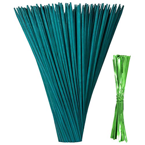 Quazilli 50 unidades de soportes para plantas para jardín, palos de bambú verde para plantas de jardín, estacas de 12 pulgadas de largo Cover