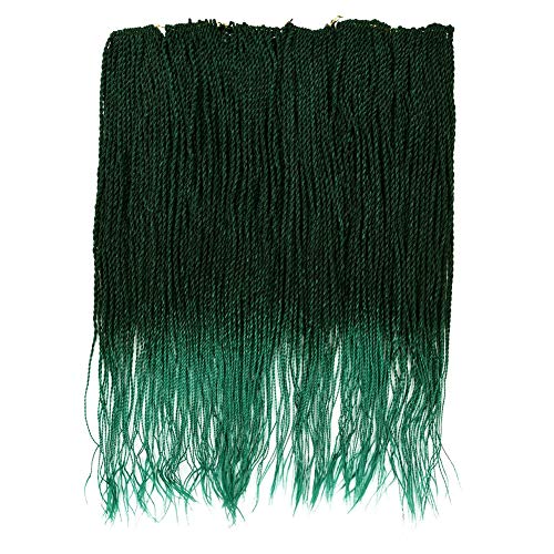 6 Packs Senegalese Twist Crochet Braids Hair Small Havana Mambo Twist Crochet Braids Synthetic Braiding Hair Extensions 2X Twist Braids Hair 24 inch (24 Inch, 1B/Green)