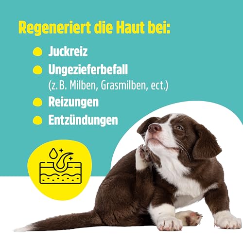 Green Hero Mittel gegen Juckreiz bei Milben 500 ml für Hunde & Katzen | Haustierpflege Spray unterstützt den Regenerationsprozess bei Grasmilben Milben Räude Reizungen Läusen Anti Juckreiz