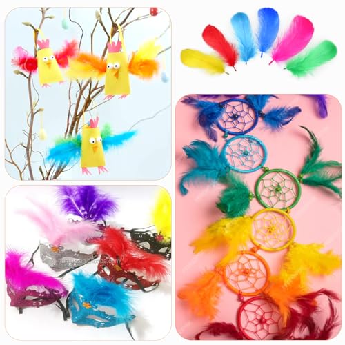 300 Stück Federn zum Basteln, Natürliche Bastelfedern, Federn Bunt, Federn Basteln Fasanenfedern, Bastelfedern Deko, Indianer Feder für DIY DEK Ostern Halloween Maske Traumfänger Partydekorationen