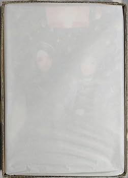 Amazon.co.jp: 刀剣乱舞 灯結び展 描きおろしイラスト 大和守安定 加州