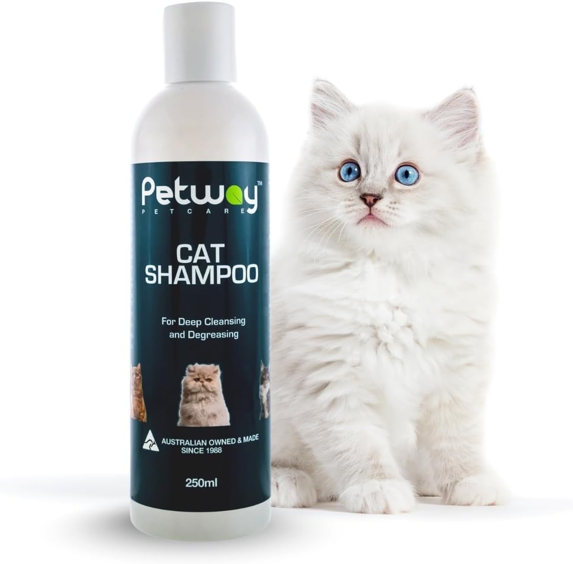 Petway Petcare Cat Shampoo – Natural Pet Dandruff Shampoo, pH Balanced Shampoo with Plant Derived Surfactant, Free of DEA, Phosphates, Parabens & Enzymes, Removes Excess Oil, Dirt and Dandruff – 250ml