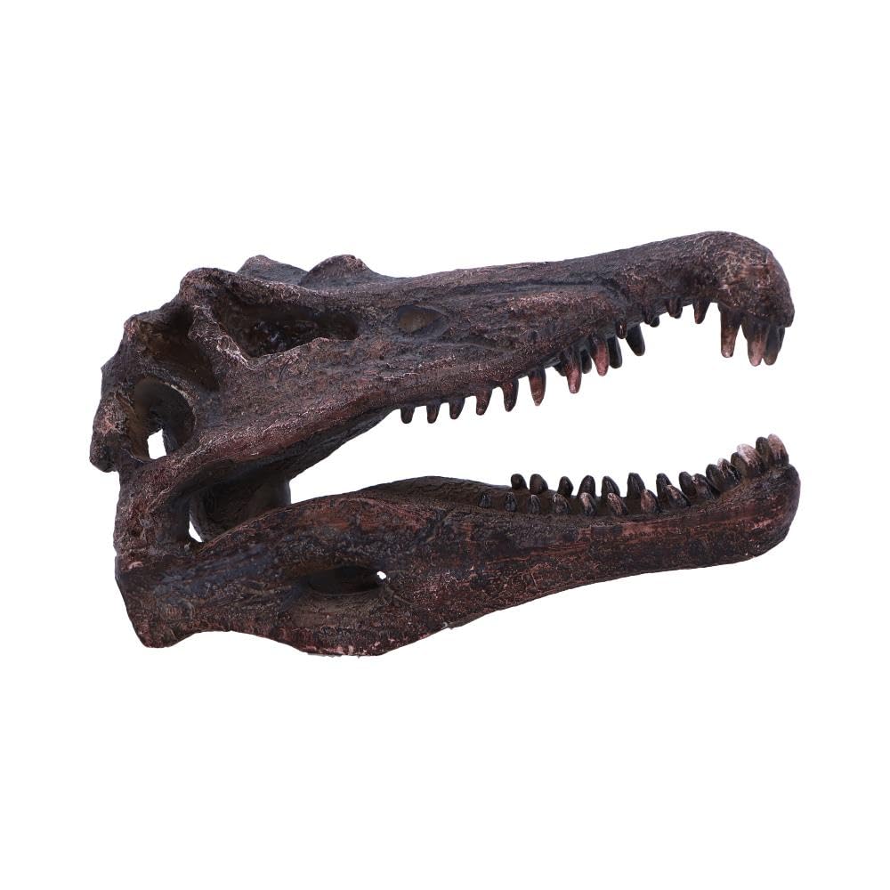 Nemesis Now Spinosaurus Dinosaur Skull Statue - Gifts & Decor For Paleontology Enthusiasts And Collectors - Hand-Painted Resin Dinosaur Fossil