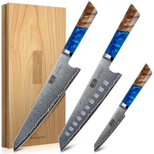 HOSHANHO Damascus 3 Pieces Knife Set, Professional 67-Layer Damascus Steel