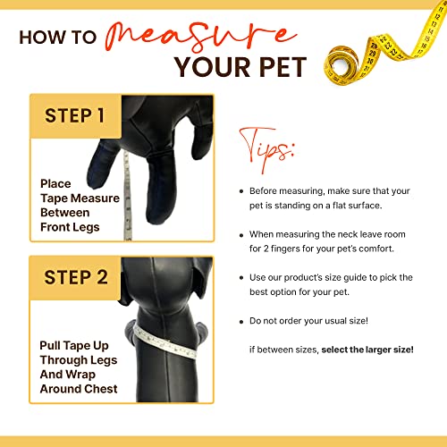 Bark Appeal Step-In Dog Harness, Mesh Step In Dog Vest Harness For Small & Medium Dogs, Non-Choking With Adjustable Heavy-Duty Buckle For Safe, Secure Fit – (Xl, Lavender) #TOP5