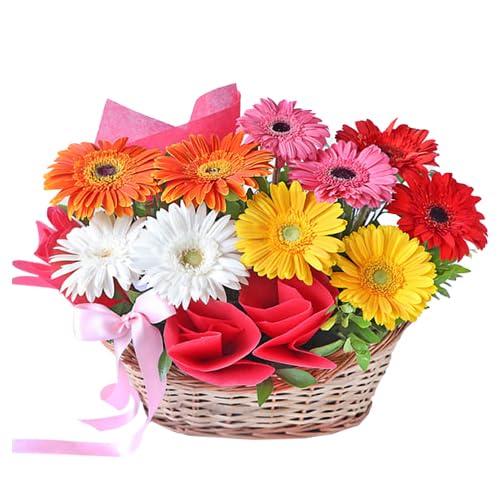 IFG's Beautiful Basket Arrangement of Mixed Colour Gerberas, 12 pcs Fresh Flowers - Same Day Delivery-image-43