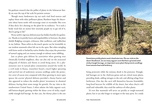 Wildscape: Trilling Chipmunks, Beckoning Blooms, Salty Butterflies, and other Sensory Wonders of Nature (-) - Image 12