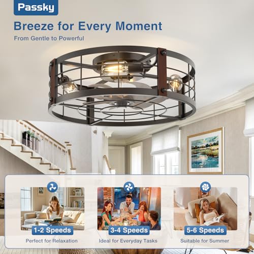Image of Passky 20 inch Farmhouse Flush Mount Ceiling Fans with Lights and Remote, Industrial Black Caged Low Profile Fandelier, 6 Speeds Bladeless Ceiling Fan for Bedroom, Kitchen, Living Room