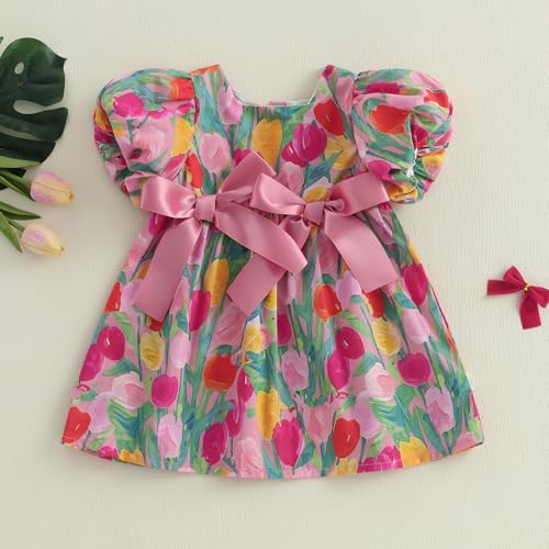 Toddler Infant Baby Girl Summer Outfit Floral Tulip Dress Bow Puff Sleeve Princess Dress Sundress Smocked Clothes2