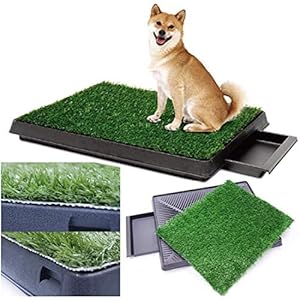 Sailnovo Dog / Puppy Toilet with Artificial Grass, 63 x 50 cm – Pet Training Mat – for Small, Large, Older Dogs, A7