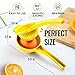 Zulay Premium Quality Metal Orange Squeezer, Citrus Juicer, Manual Press for Extracting the Most Juice Possible - Orange Juicer (Yellow)