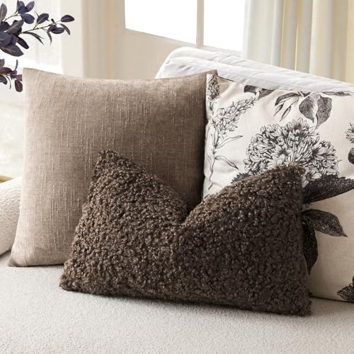 Image of Foindtower Set of 2 Curly Teddy Wool Pillow Covers Decorative Boucle Textured Lumbar Throw Pillow Faux Fur Sherpa Pillowcases Sheepskin Fuzzy Cushion Case for Sofa Bedroom Car 12 inchx20 inch Dark Brown
