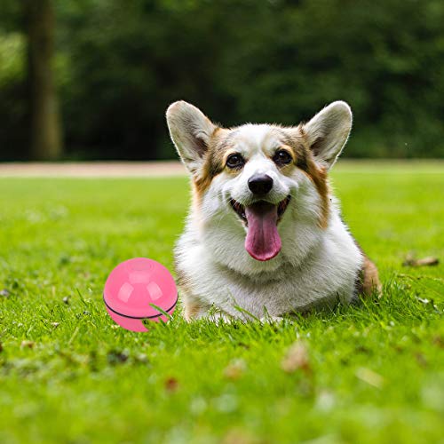 LED Bola brilhante Bola de brinquedo para animal de estimação Carregamento USB Smart Pet Toy Bola ro