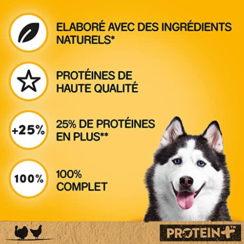 PEDIGREE Dose Protein+ in Pastete mit Truthahn und Huhn 12 x 800g