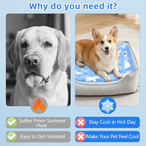 Image of Qpets Pet Cooling Mat for Dogs & Cats, 90x60CM | No-Water Gel Cooling Pad, Washable, Scratch-Proof & Portable, Supports 35kg, Use Floor, Sofa, Car, Crate