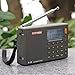RADIWOW R-108 FM Stereo/LW/MW/SW/AIR Band/DSP Full Band Portable Radio with Headphones Jack and Antenna Jack, Sleep Timer and Alarm Clock, 500 Memories preset Stations (100 preset for Each Band).