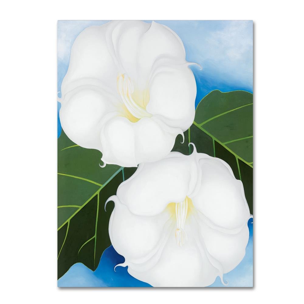Two Jimson Weeds by Georgia O'Keefe, 18x24-Inch Canvas Wall Art
