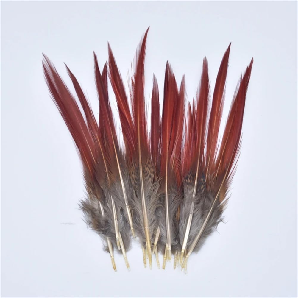 Naturalne pióra bażanta, Craft Pióra z ogona bażanta Multikolor 5-25cm 10-200 szt(10 Piece)