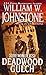 Deadwood Gulch (Sidewinders Book 5)