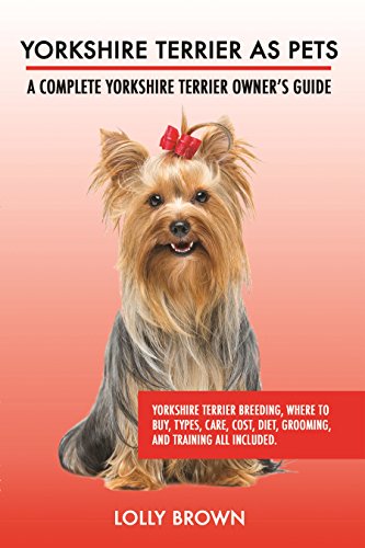 yorkshire terrier diet