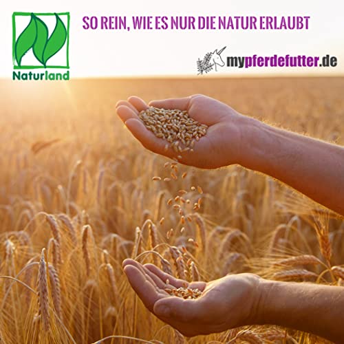 mypferdefutter Bio Hafer - 20kg - von bayrischen Feldern - 100% Natur PUR ohne Zusätze und Melasse - angebaut nach den Standards und Auflagen von Naturland