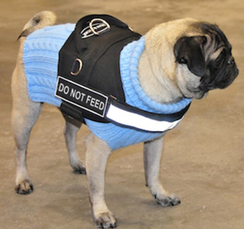 Dt Works Harness, Do Not Feed, Black/White, X-Small - Fits Girth Size: 21-Inch To 26-Inch #TOP1