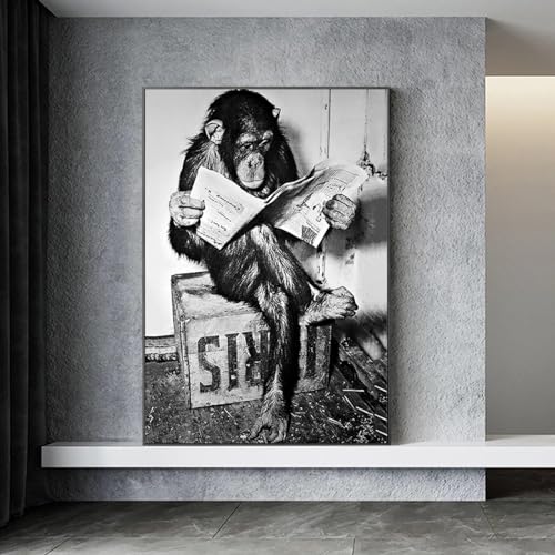 Affiche de singes drôles lisant le journal poster toile noir et blanc 55x70cm sans cadre